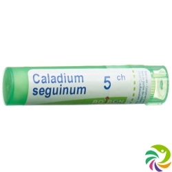 Boiron Caladium seguinum Gran C 5 4 g