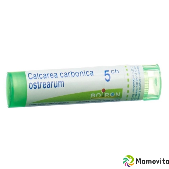 Boiron Calcarea ostrearum Gran C 5 4 g buy online