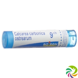 Boiron Calcarea ostrearum Gran C 9 4 g