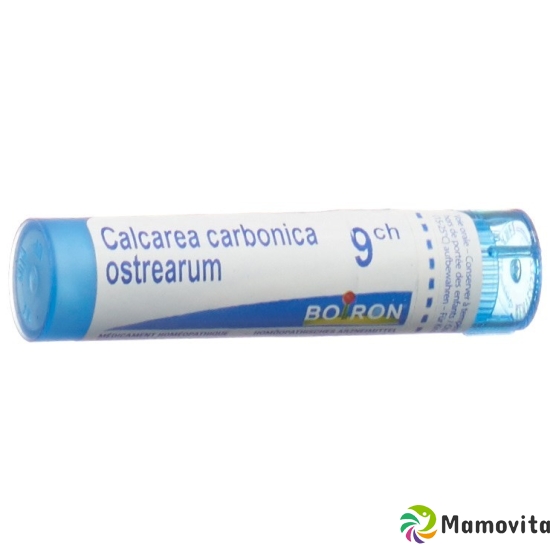 Boiron Calcarea ostrearum Gran C 9 4 g buy online