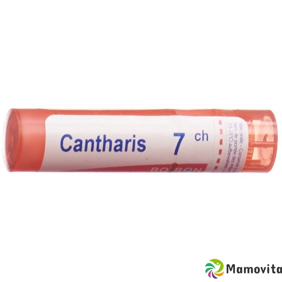 Boiron Cantharis Gran C7 4g buy online