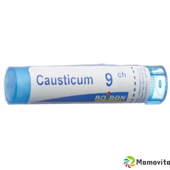 Boiron Causticum Gran C 9 4g buy online