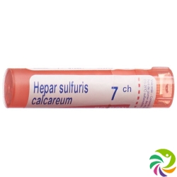 Boiron Hepar calcareum Gran C 7 4 g