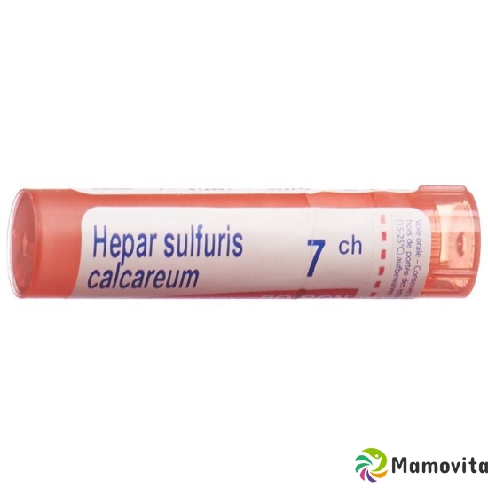 Boiron Hepar calcareum Gran C 7 4 g buy online