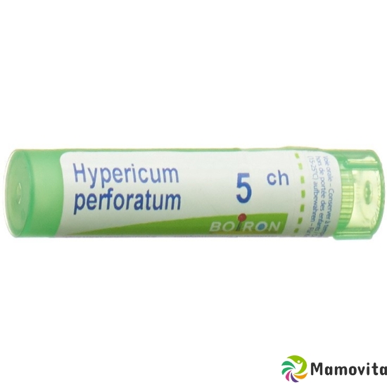 Boiron Hypericum perforatum Gran C5 4g buy online