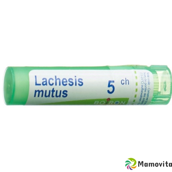 Boiron Lachesis mutus Gran C5 4g buy online