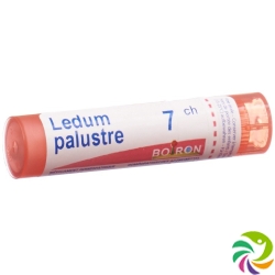 Ledum palustre Boiron Gran C 7 4 g