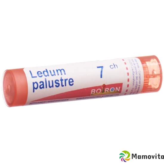 Ledum palustre Boiron Gran C 7 4 g buy online