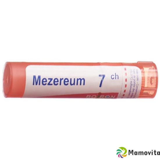 Boiron Mezereum Gran C 7 4g buy online