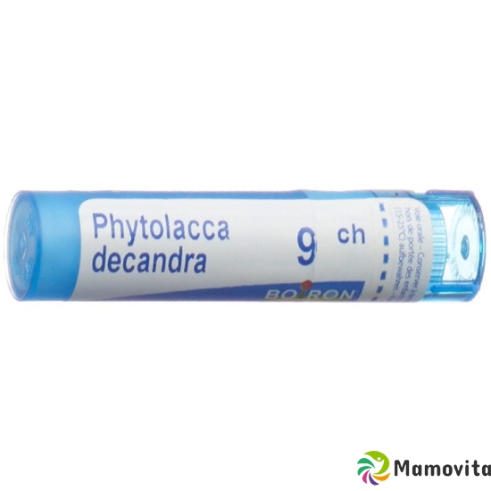 Boiron Phytolacca decandra Gran C 9 4 g buy online