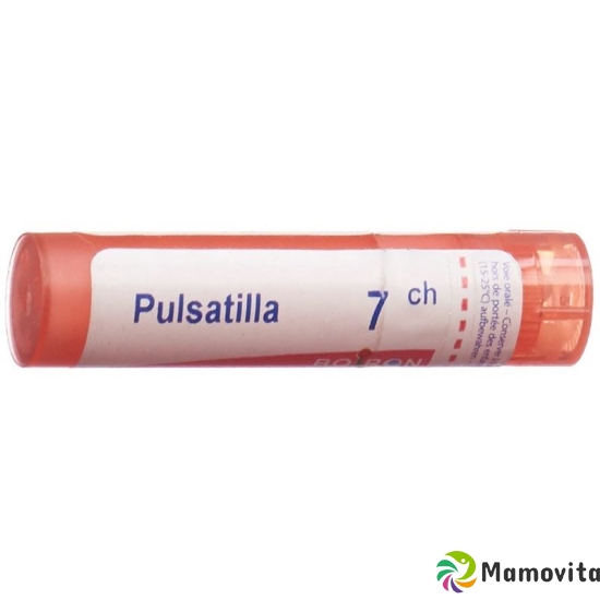 Boiron Pulsatilla Gran C 7 4g buy online