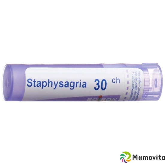 Boiron Staphysagria Gran C 30 4g buy online