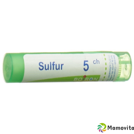 Boiron Sulfur Gran C5 4g buy online