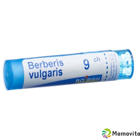 Boiron Berberis vulgaris Gran C 9 4g buy online