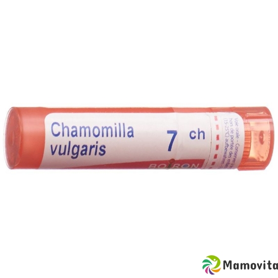 Boiron Chamomilla vulgaris Gran C 7 4g buy online