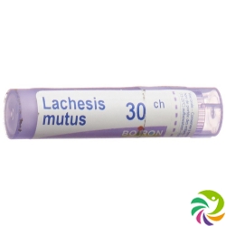 Boiron Lachesis mutus Gran C 30 4g