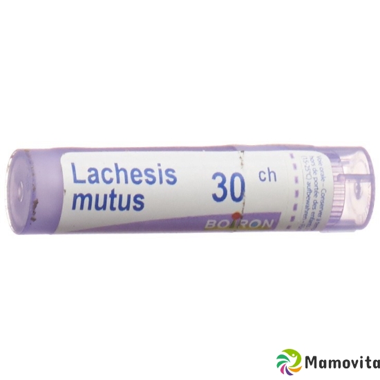 Boiron Lachesis mutus Gran C 30 4g buy online