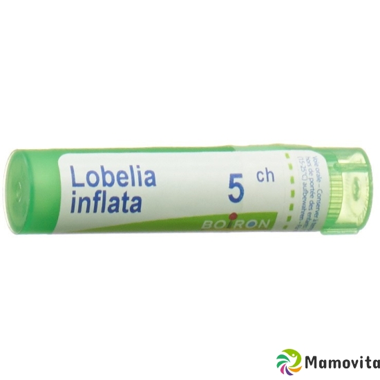 Boiron Lobelia Inflata Granulat C 5 4g buy online