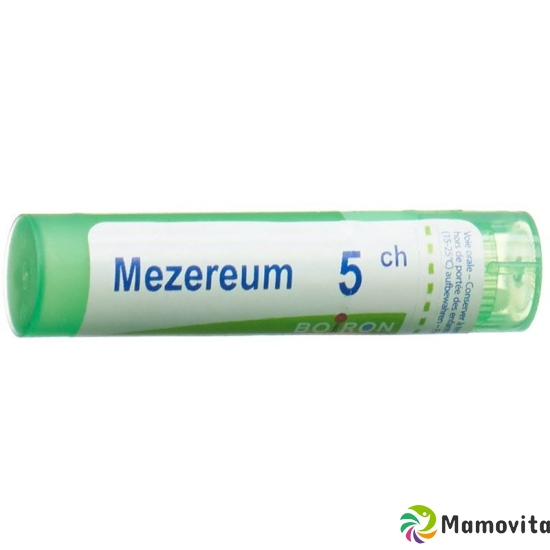 Boiron Mezereum Gran C 5 4g buy online