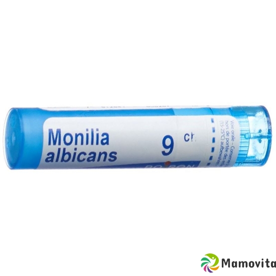 Boiron Monilia albicans Gran C 9 4g buy online