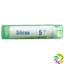 Boiron Silica Gran C 5 4 g