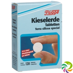 Flügge Kieselerde 120 Tabletten