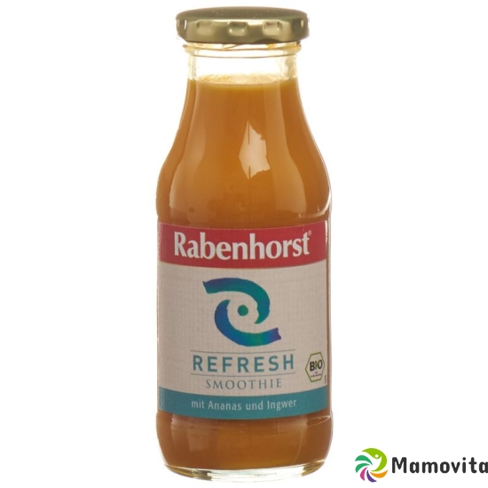 Rabenhorst refresh smoothie organic bottle 240 ml buy online