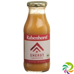 Rabenhorst Smoothie Energy Bio Fl 240 ml