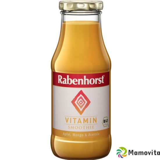 Rabenhorst vitamin smoothie organic bottle 240 ml buy online