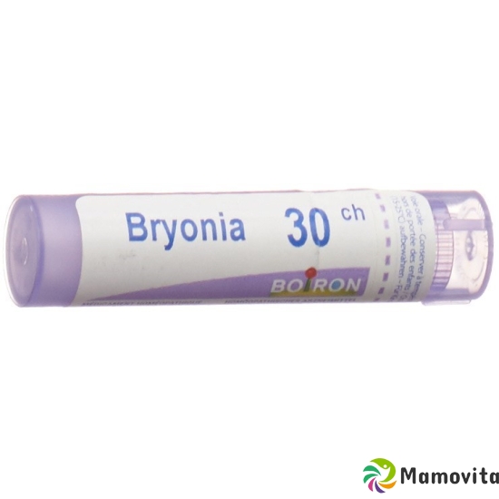 Boiron Bryonia Gran C 30 4 g buy online