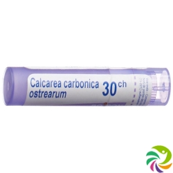 Boiron Calcarea ostrearum Gran C 30 4 g