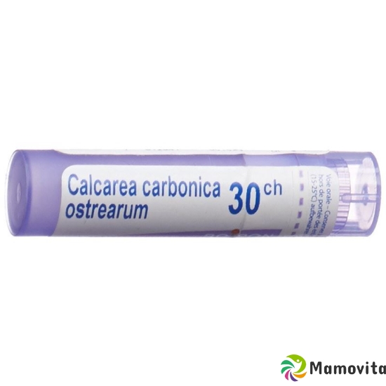 Boiron Calcarea ostrearum Gran C 30 4 g buy online