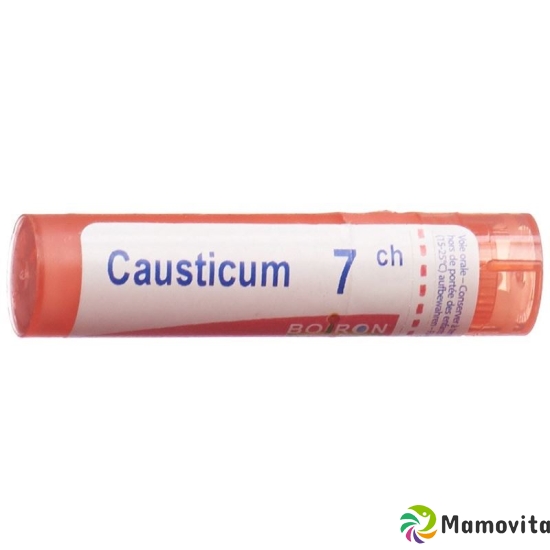 Boiron Causticum Granulat C 7 4g buy online