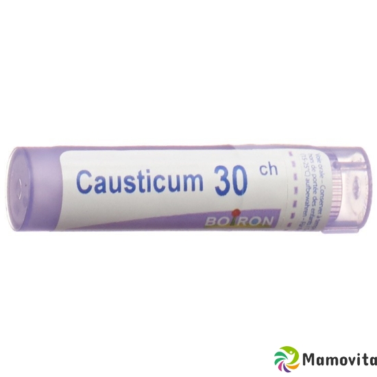 Boiron Causticum Granulat C 30 4g buy online