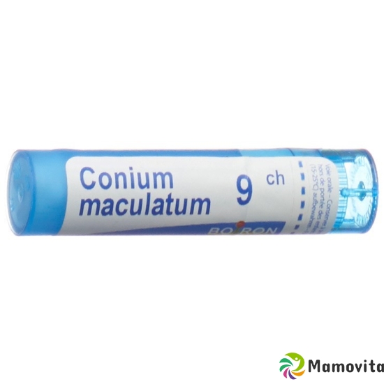 Boiron Conium Maculatum Granulat C 9 4g buy online