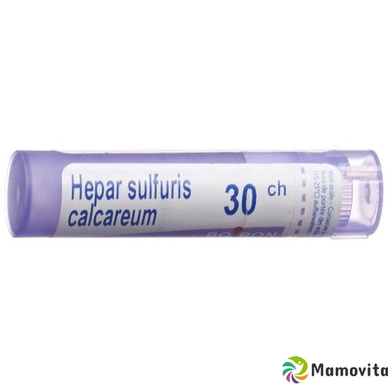 Boiron Hepar calcareum Gran C 30 4 g buy online