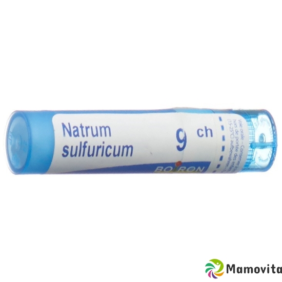 Boiron Natrum sulfuricum Gran C 9 4 g buy online