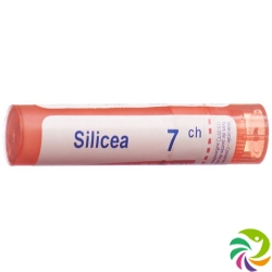 Boiron Silica Gran C 7 4 g