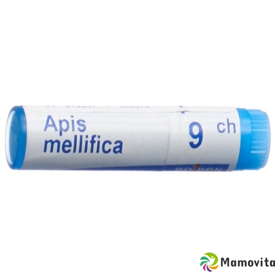 Apis mellifera Boiron Glob C 9 1 Dos buy online