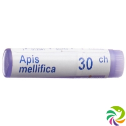 Apis mellifera Boiron Glob C 30 1 Dos