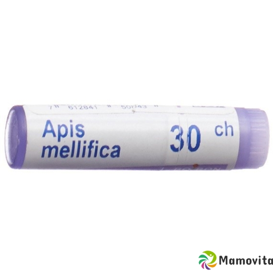 Apis mellifera Boiron Glob C 30 1 Dos buy online