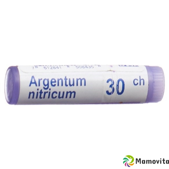 Boiron Argentum nitricum Glob 30C 1 dose buy online