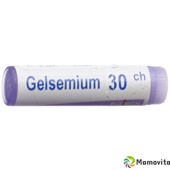 Boiron Gelsemium Sempervirens Globuli C 30 1 Dos buy online