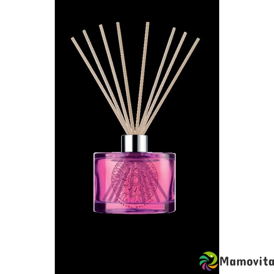 Artdeco Senses Asian Sensual Home Fragr Sticks buy online