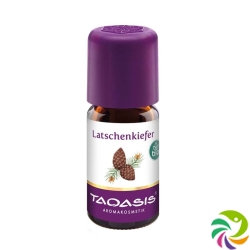 Taoasis Latschenkiefer Ätherisches Öl Bio 5ml