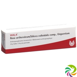 Wala Rosae aetherolum / Silica colloidalis ointment comp. Tb 30 g