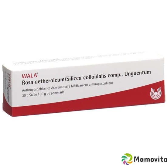 Wala Rosae aetherolum / Silica colloidalis ointment comp. Tb 30 g buy online