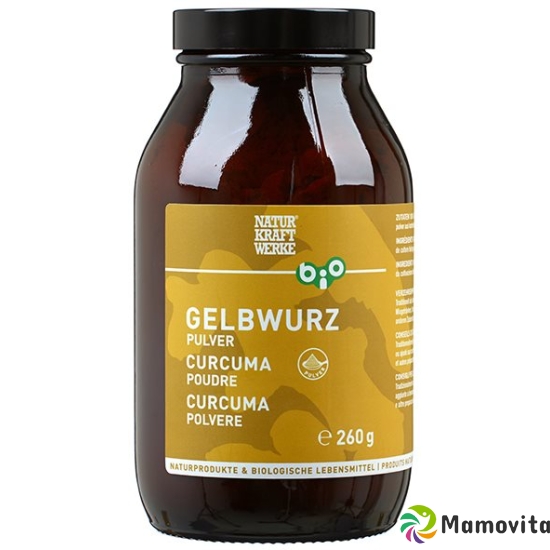 Naturkraftwerke Gelbwurzpulver Bio/kba 260g buy online