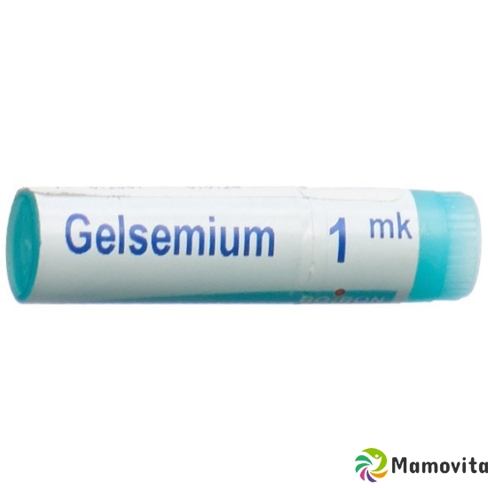 Boiron Gelsemium sempervirens Glob MK 1 Dos buy online