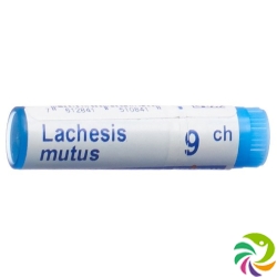 Boiron Lachesis mutus Glob 9C 1 dose